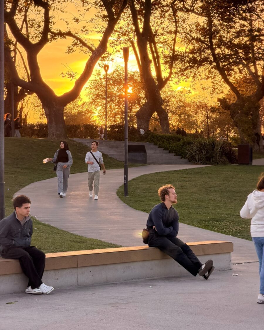 Bob on a bench in the park at sunset